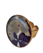 Anillo F6-04