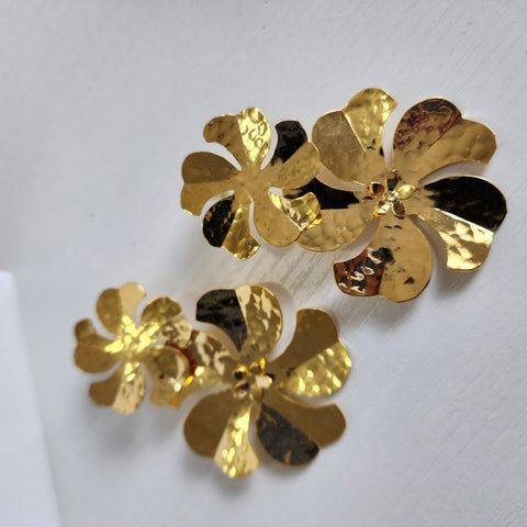 A2003-24K-Aretes Remolino