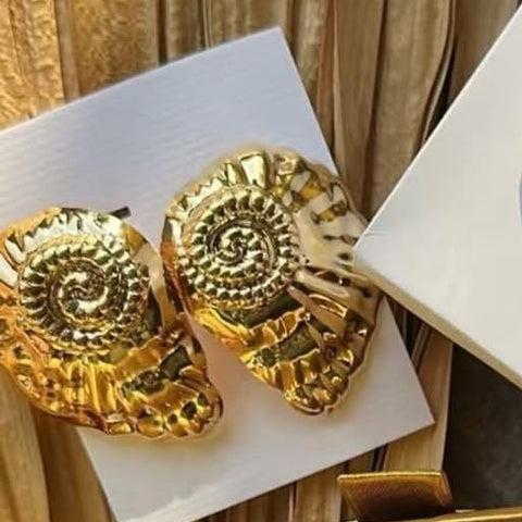 Aretes de Caracol  Ancho