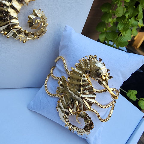 Bangel Caballito de Mar