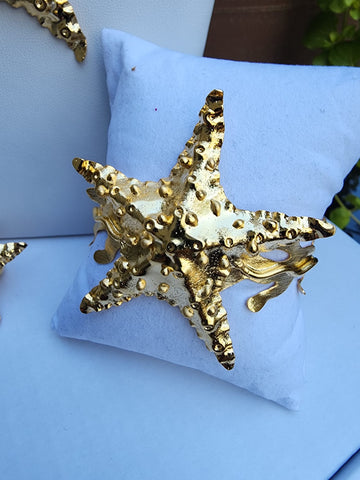 Bangel Estrella de Mar