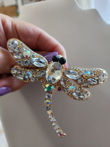 Libélula en Piedras  Ojos Negros