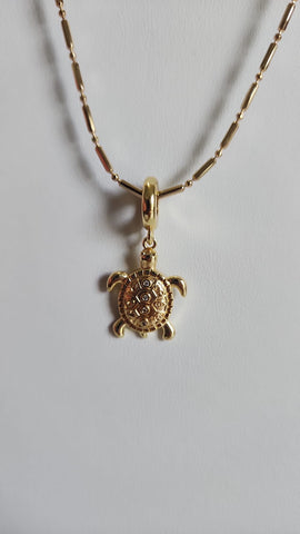 Gema Tortuga con Gancho