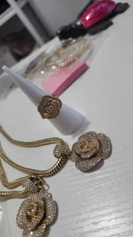 Set  cadena y Gema Flor diamantada