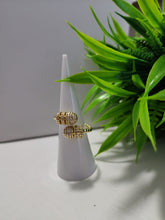 Anillo A02