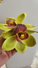 Prendedor Orquidea