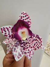 Prendedor Orquidea